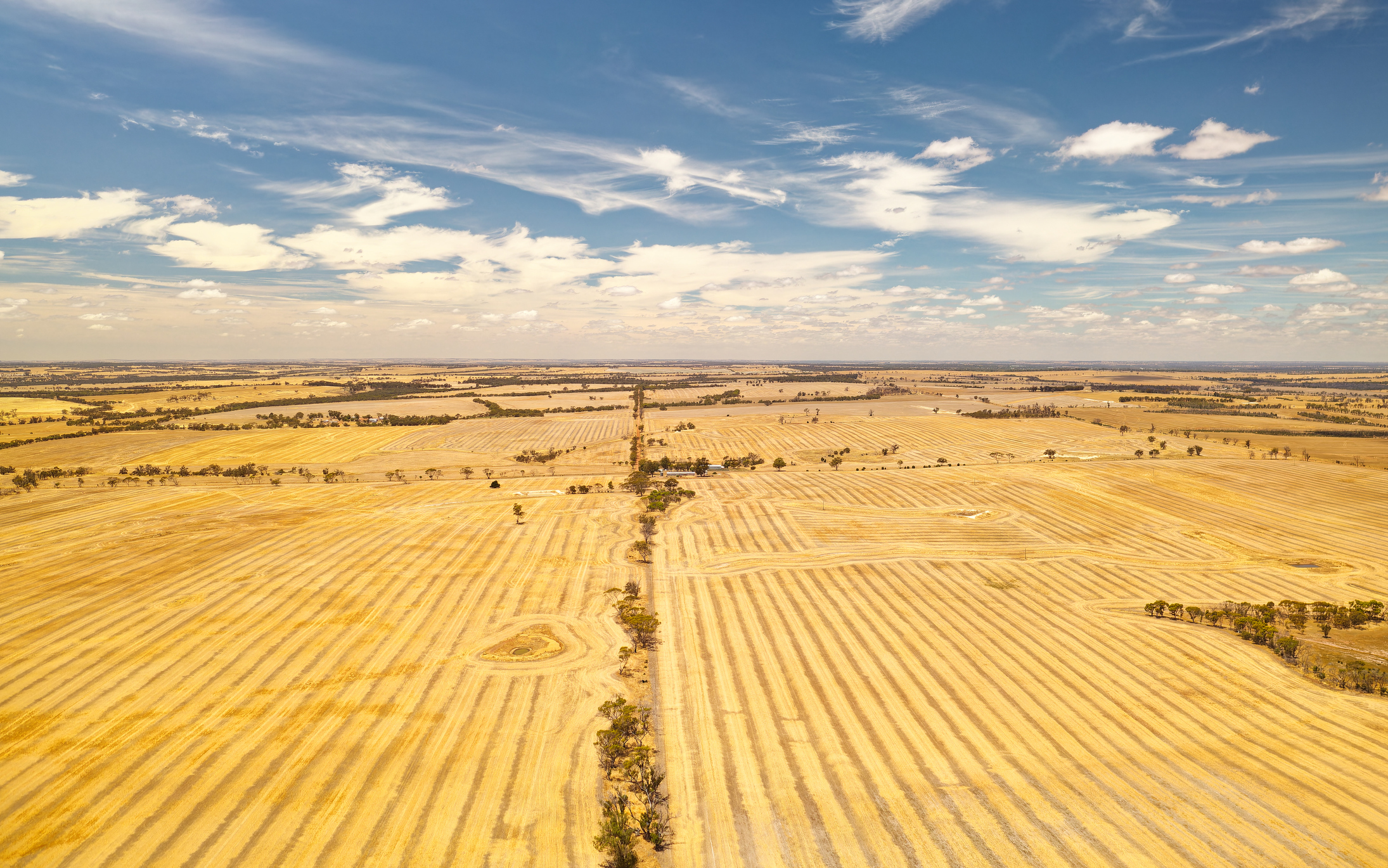 Istock 1496999850 Drought